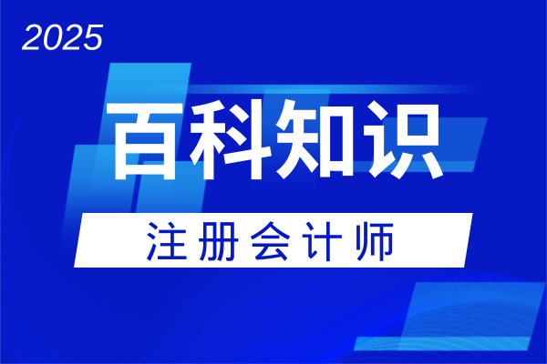 2025注册会计师全国统一考试网官网使用全攻略